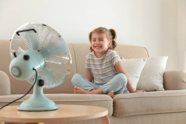 Rechargable Fan